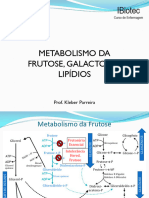 Aula 6 Met Frutose Galactose e Lipidos