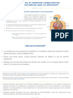 ¿Cómo Es El Sistema Respiratorio y Los Microbios Que Lo Afectan - 8