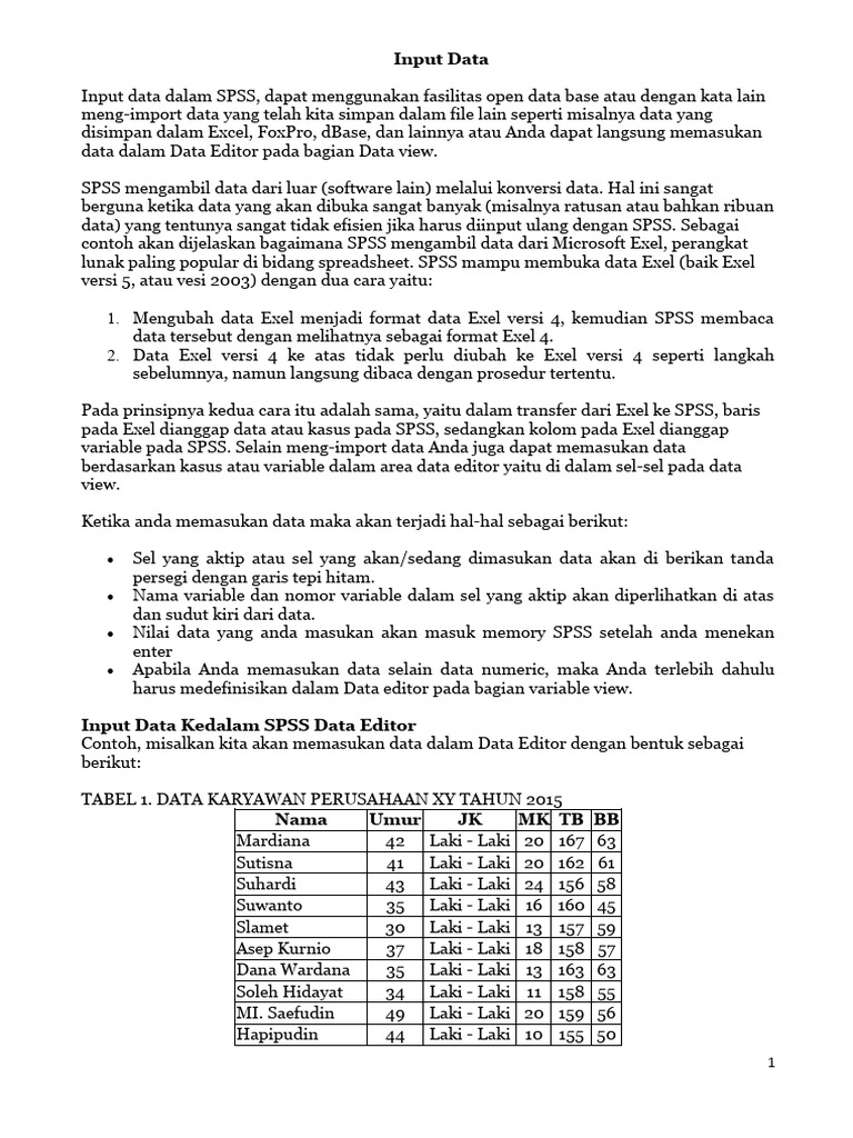 Cara Input Data SPSS dari Excel | PDF