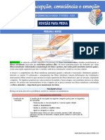 Revisão Módulo Neuro