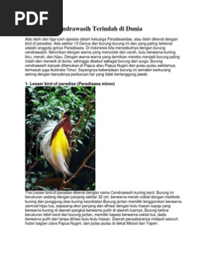10 Burung Cendrawasih Terindah Di Dunia