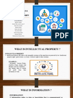 BS CRIM Intellectual Property