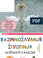 Razmnožavanje Životinja - Sličnosti I Razlike (4 Sata)