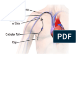 Enfermeria 1