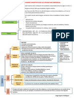 Literatura Nmedieval