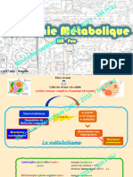 CM1 - INTRO AU METABOLISME - DESCRIPTION GLYCOLYSE - Copie Étudiants - DEC 2022