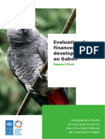 Rapport Final D Evaluation Du Financement Du Developpement Au Gabon