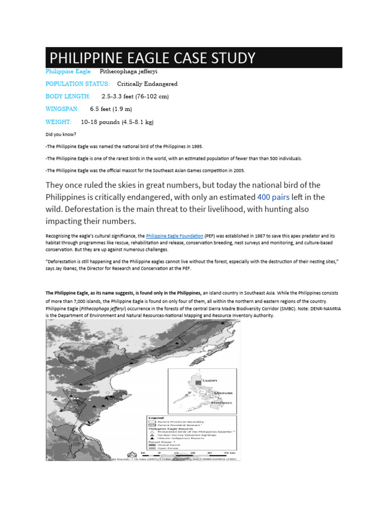 Philippine Eagle Case Study Pdf Eagle Natural Environment