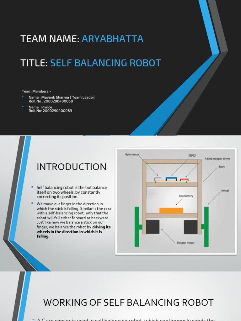 ESP32 Self Balancing Robot Overview | PDF