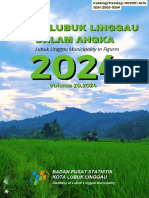 Kota Lubuk Linggau Dalam Angka 2024