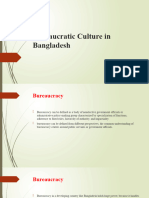 Bureaucratic Culture