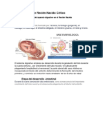 1 Anatomia y Fisiologia Del Sistema Digestivo Del Recien Nacido