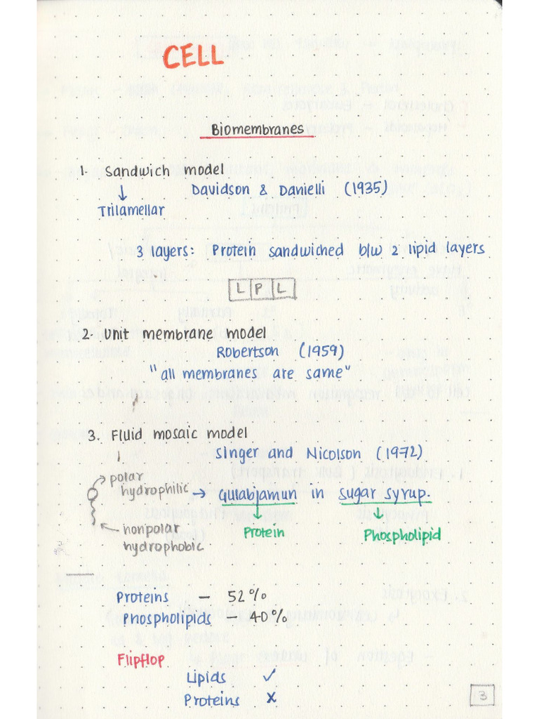 Fiza Cell Notes | PDF