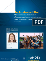 ANDE Insights of The Global Accelerator Effectiveness and Best Practices