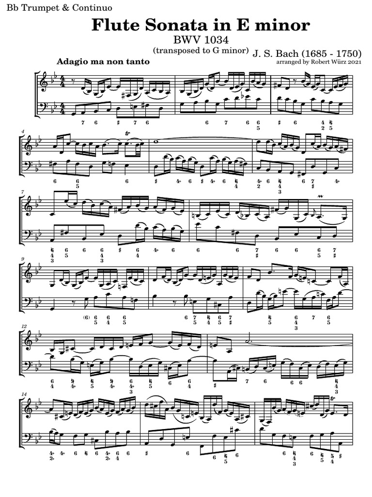 Bach Flute Sonata BWV 1034 Arrangement PDF Choral Music Bach
