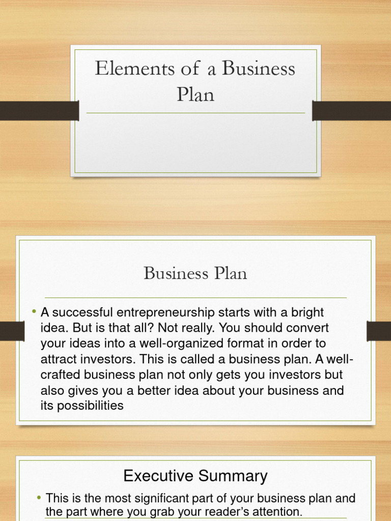 Elements of A Business Plan PDF Marketing Profit (Economics)
