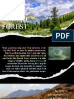 Boreal Forest