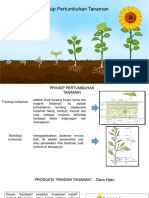 Plant Growth Development