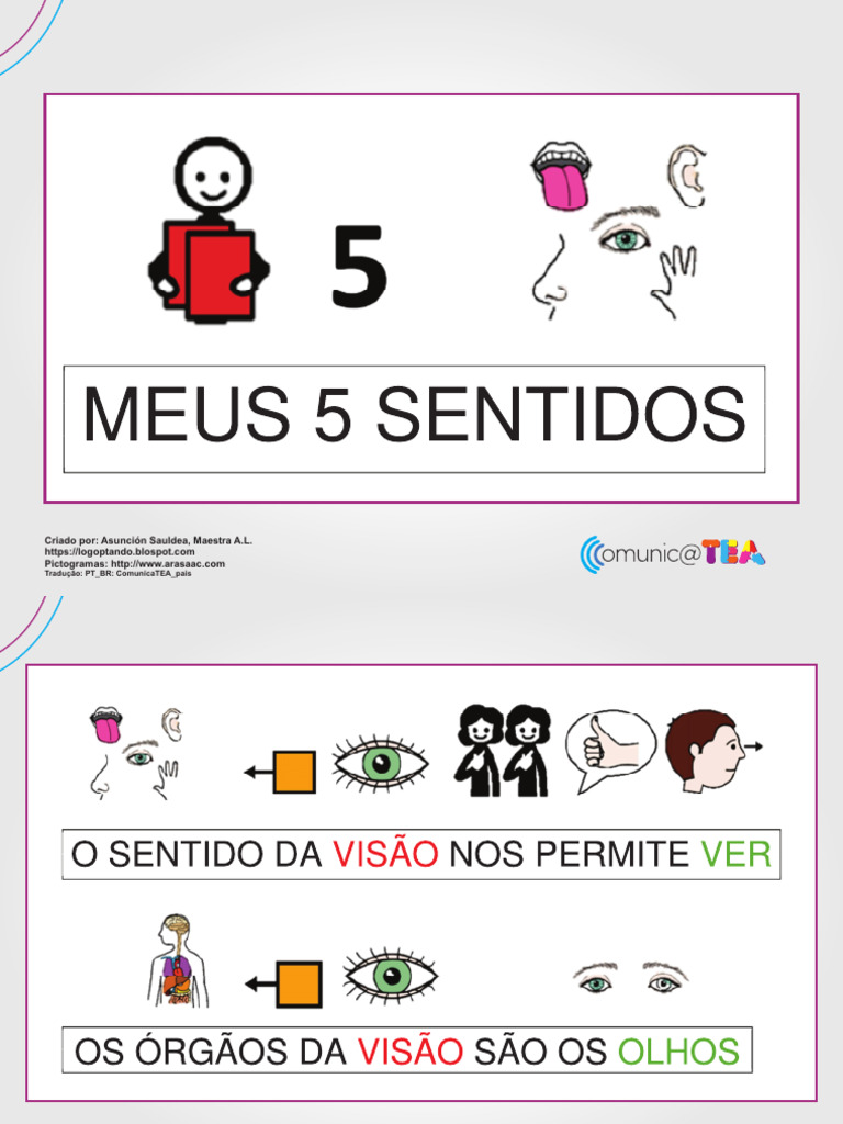 prancha-comunica-o-alternativa-meus-cinco-sentidos-tea-pdf