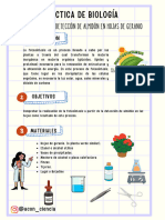 Práctica Fotosíntesis - Detección de Almidón en Hojas