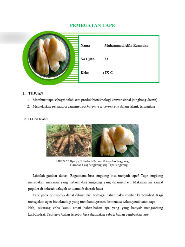 Pembuatan Tape Singkong | PDF | Memasak, Makanan, & Anggur | Kesehatan