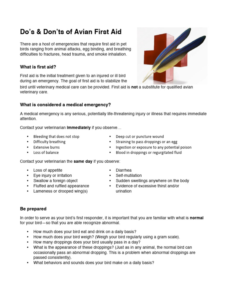 Avian First Aid Pdf Bleeding Traumatic Brain Injury