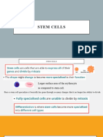 Stem Cells