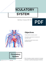 11 Circulatory-System
