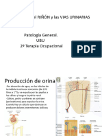 11-Enfermedades Del Riñón y Vías Urinarias PDF