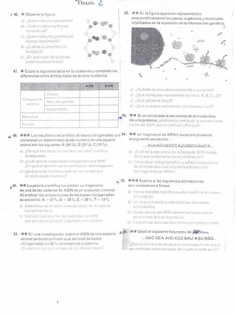 Ejercicios Tema 2 | PDF