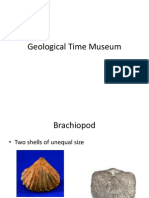 Geological Time Museum