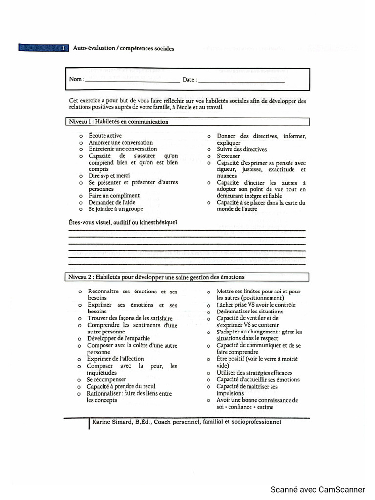 Auto Évaluation Habiletés Sociales | PDF