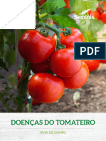 guia-de-doenças-do-tomate