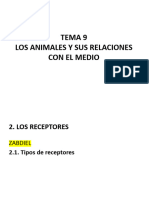 Tema 9 - Los Animales y Sus Relaciones Con El Medio