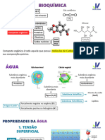 Enem 19 Fev Cont