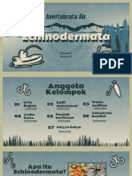 Kelompok 6 Echinodermata Perikanan B