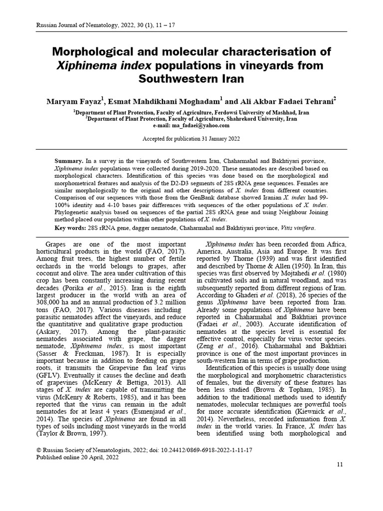 Morphological And Molecular Characterisation Of Xiphinema Index 