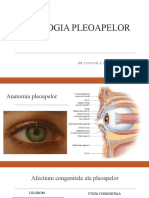 Patologia Pleoapelor
