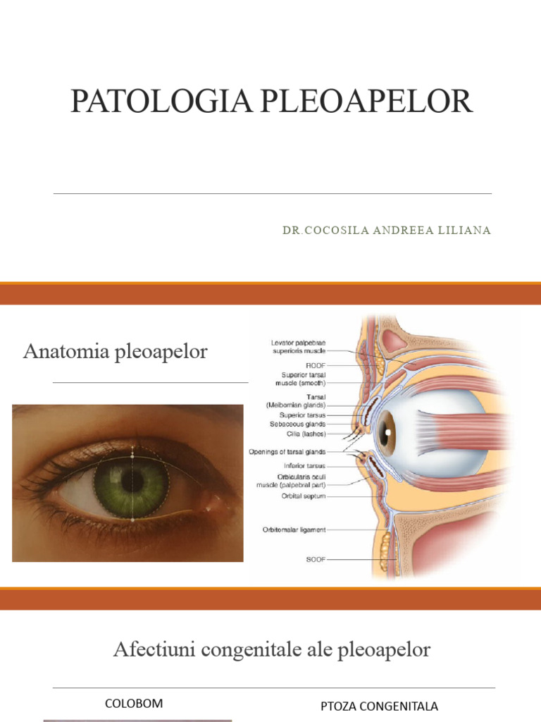 Patologia Pleoapelor | PDF