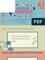 Shaurya 3Y Muscular System