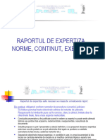 Raportul de Expertiza