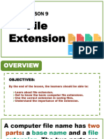 Lesson 9 File Extension