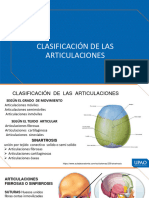 Clasificación de Las Articulaciones