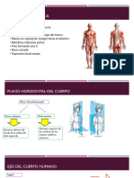 Anatomia Semana 1