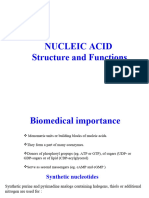 Nucleic Acid Structure and Function