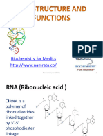Structure of RNA