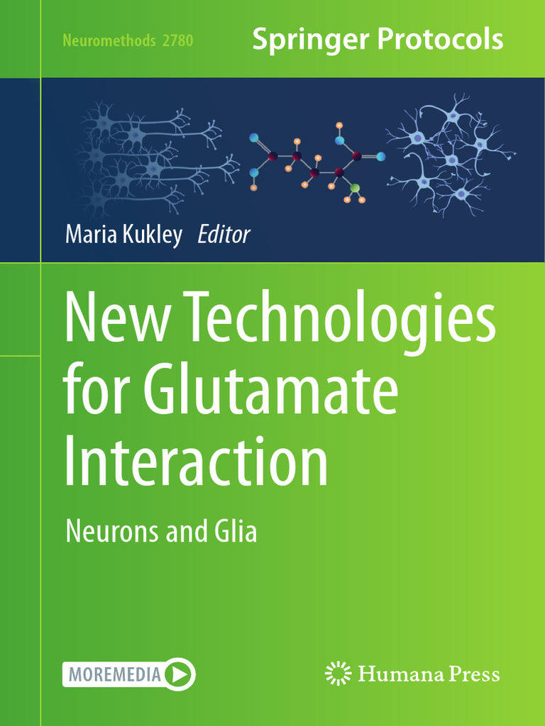 Glutamate Imaging Techniques Overview | PDF | Glutamic Acid | Synapse