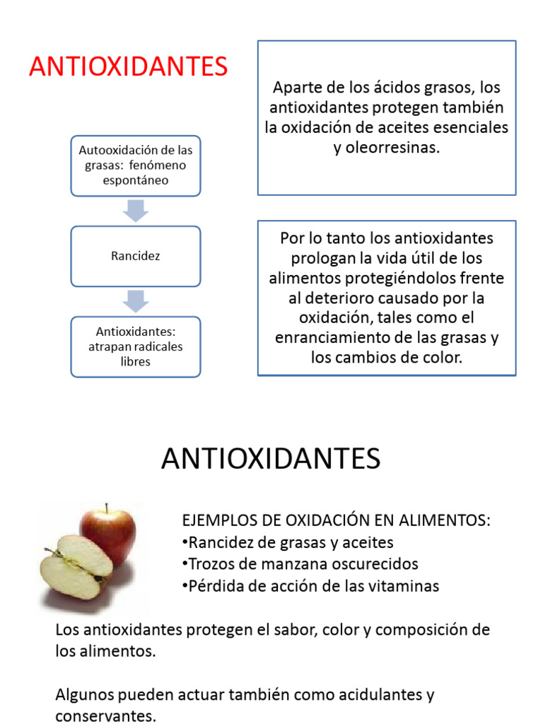 Función y Ejemplos de Antioxidantes | PDF | Antioxidante | Alimentos