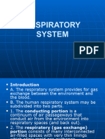 Respiratory System