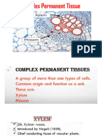 Complex Permanent Tissue